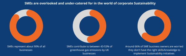 “It takes a village….”: Achieving Sustainability for SMEs