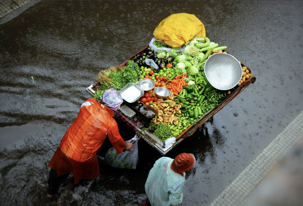 SDIM24: How businesses can become more resilient to the physical impacts of climate change