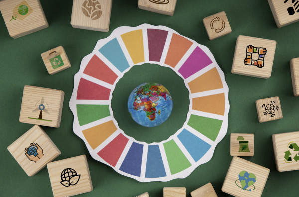 Meeting the UN SDGs: How cultivating interconnected ecosystems can help us get back on track