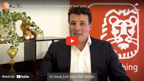 Watch: Why green bonds are set to bounce back next year