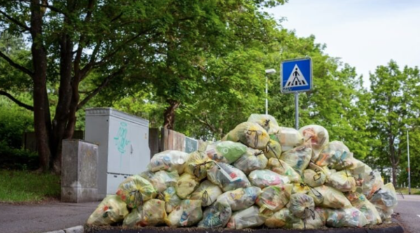 Government Initiatives to Reduce Food Waste | Shapiro