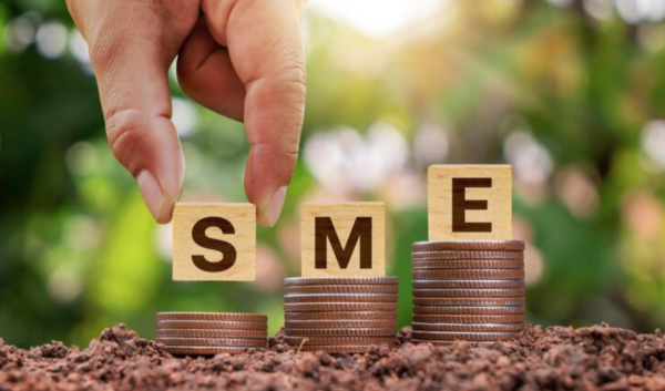 Sustainability on a Budget: How European SMEs Can Embrace Eco-Friendly Practices