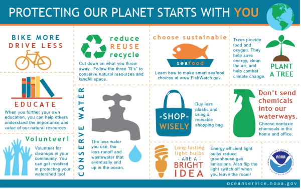 Protecting Our Planet Starts with You