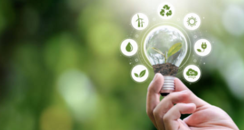 Why a robust ESG strategy is essential for today's SME | Gofor