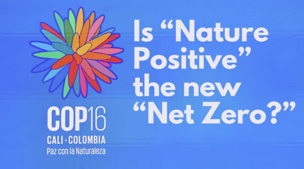 Tim Mohin: Is “Nature Positive” the new “Net Zero?”