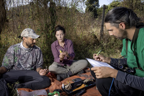 I track bird movement to enhance conservation efforts