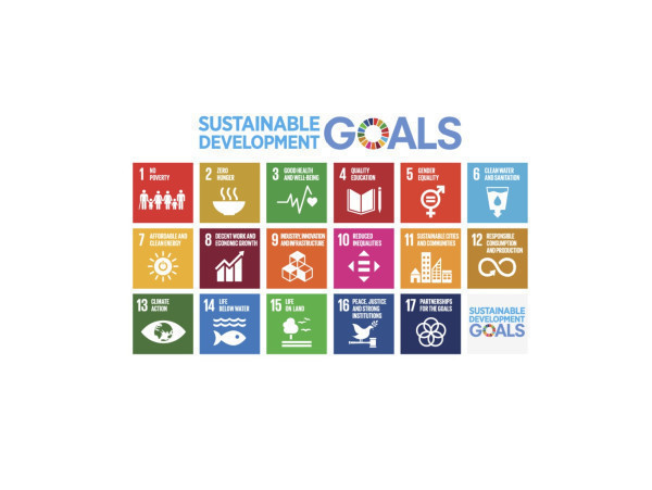 Heritage Conservation and the Sustainable Development Goals