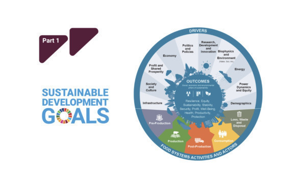 Connecting the Dots: How Food Systems Impact multiple SDGs | FEAST