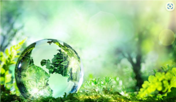 Geopolitical tensions challenge corporate sustainability efforts