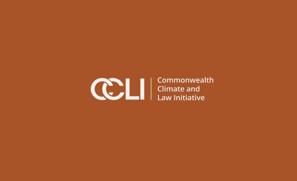 Climate Litigation – Briefing note for boards – CCLI