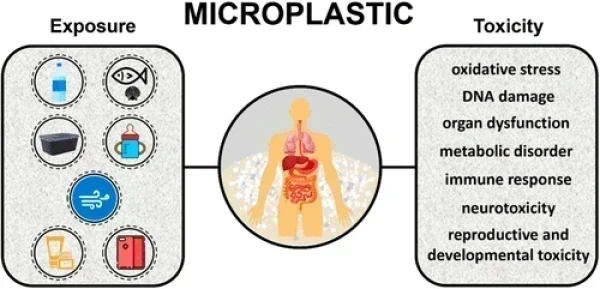 Potential Health Impact of Microplastics: A Review of Environmental Distribution, Human Exposure, and Toxic Effects