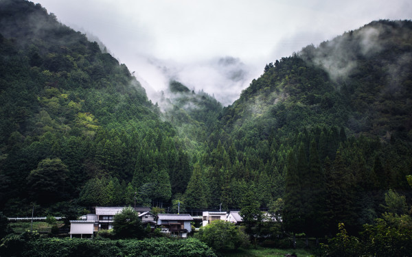 Green buildings can boost productivity, well-being and health of workers