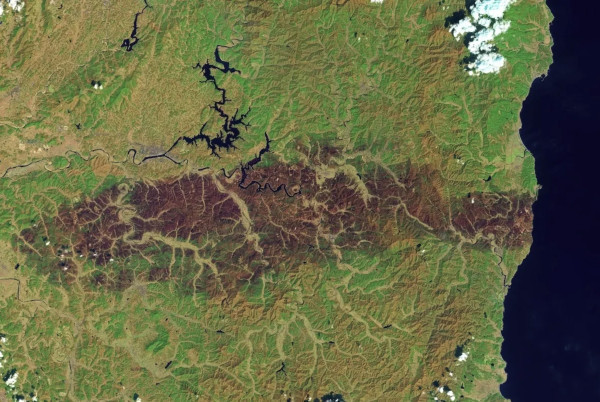 Category Sample Image