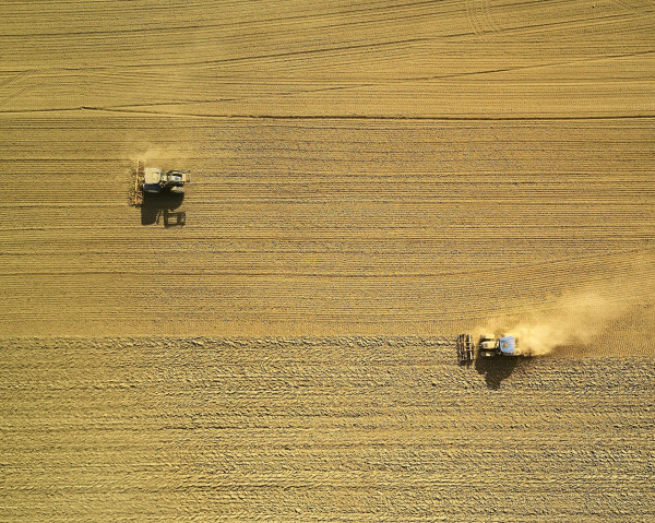 Category Sample Image