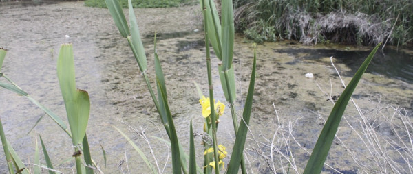 Category Sample Image