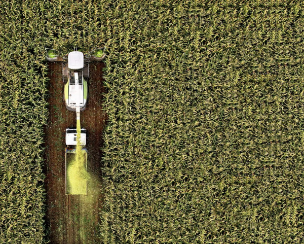 Category Sample Image
