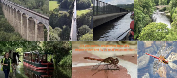 Category Sample Image