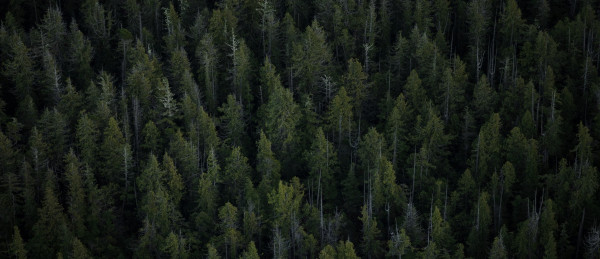 Category Sample Image