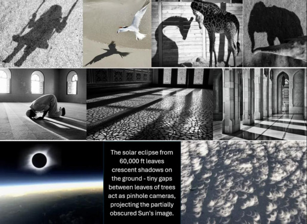Category Sample Image