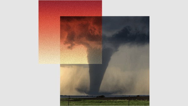 Category Sample Image