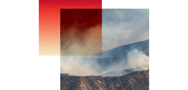 Category Sample Image