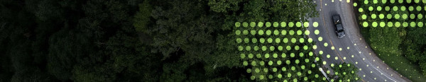 Category Sample Image