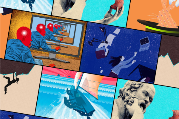 Category Sample Image