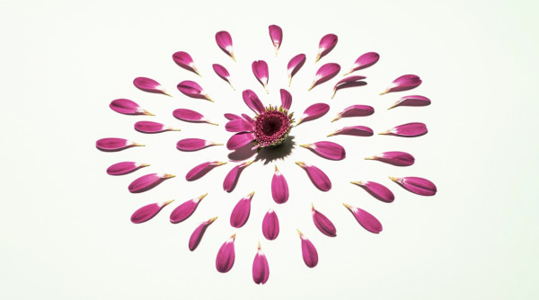 Category Sample Image