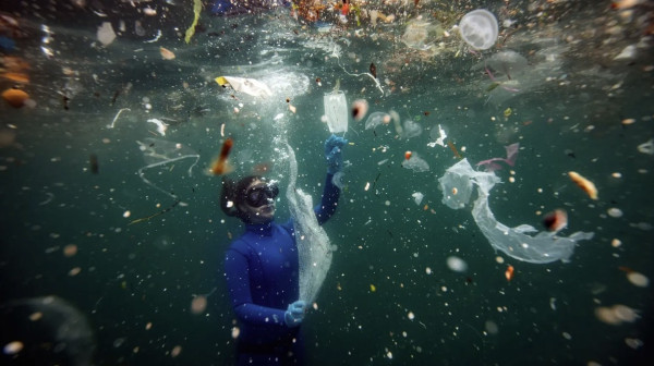 Category Sample Image
