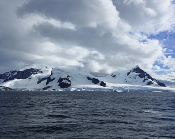 Category Sample Image