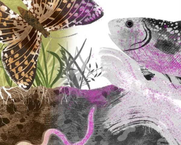 Category Sample Image