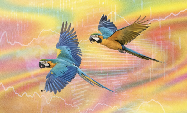 Category Sample Image