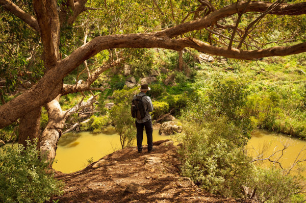 Citizen scientists collect more nature data than ever, showing us where common and threatened species live