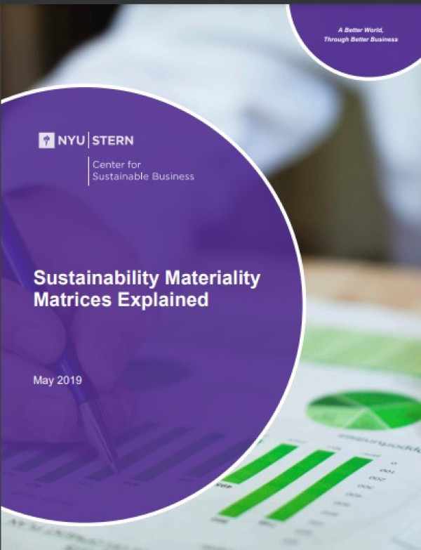 Sustainability Materiality Matrices Explained