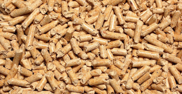 Q&A: What does the UK’s new biomass strategy mean for net-zero? - Carbon Brief