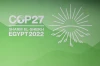 COP 27