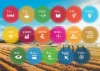 United Nations SDGs